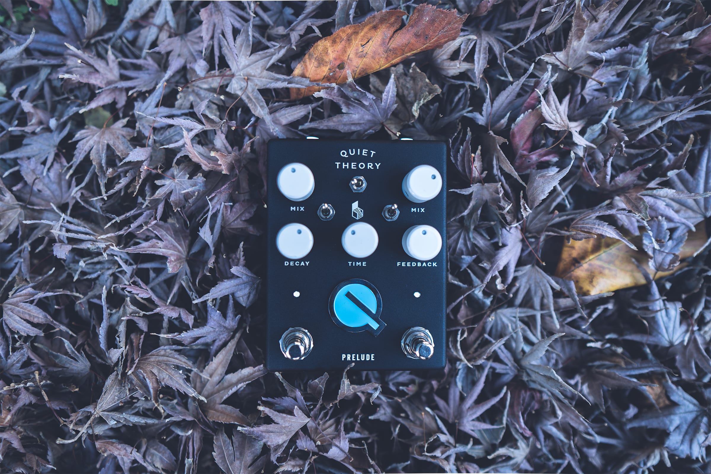 Quiet Theory Preludeの写真