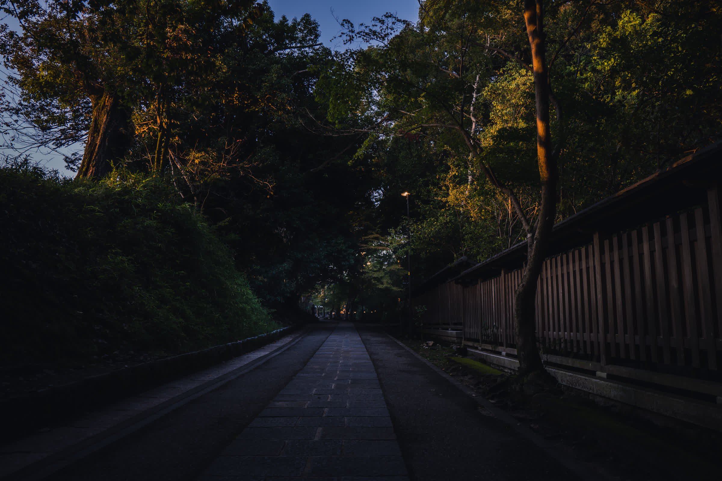 宇治上神社の界隈