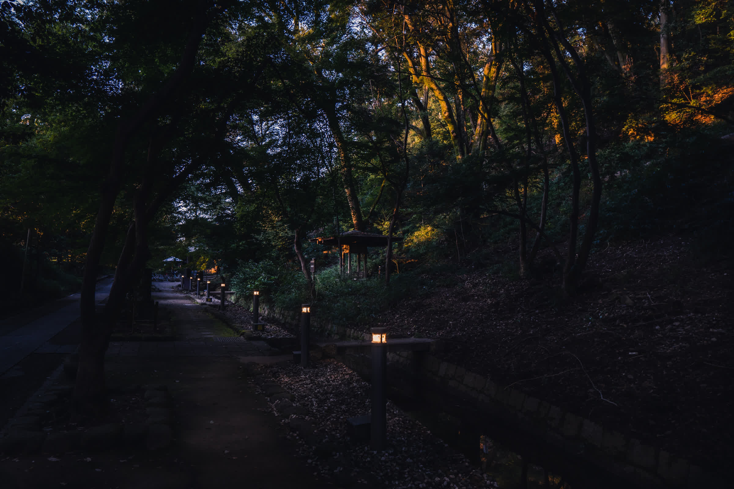 宇治上神社の界隈