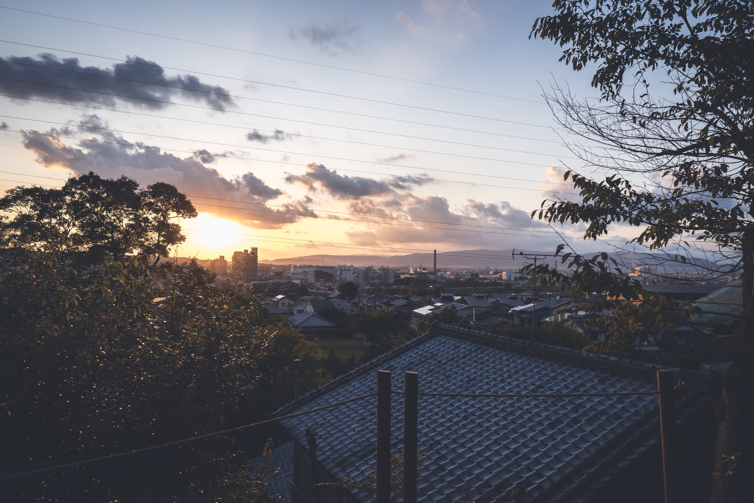 日没30分前といった頃合いの光景